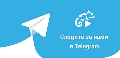 канал в telegram 74.spravo4ki-z.ru